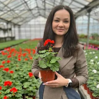 Компания цветов