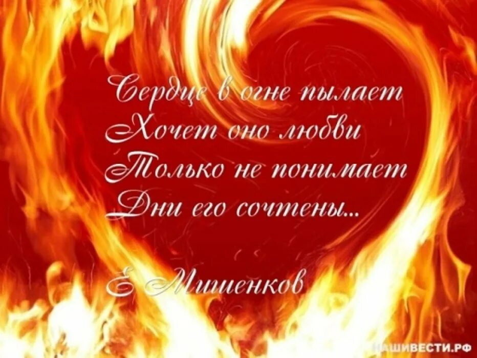 Правда ни в огне. Сердце в огне. Стихи про огонь и любовь. Огонь высказывания красивые. Красивые стихи про огонь.