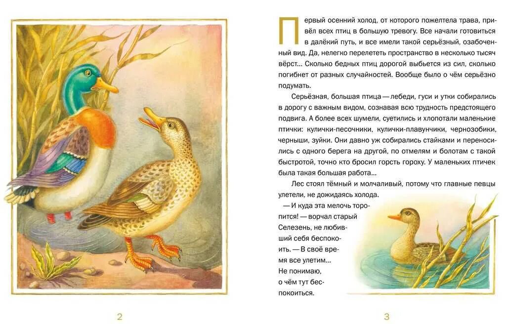 Н. Сказка д. Мамин серая шейка распечатать текст. Книги мамина сибиряк сказка серая шейка. Сказка мамина сибиряка серая шейка.
