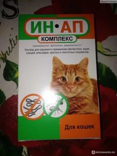 Ин ап комплекс для кошек