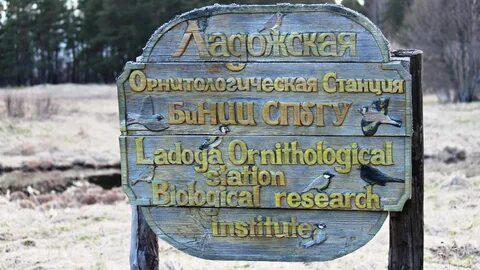 Экскурсия на орнитологическую станцию