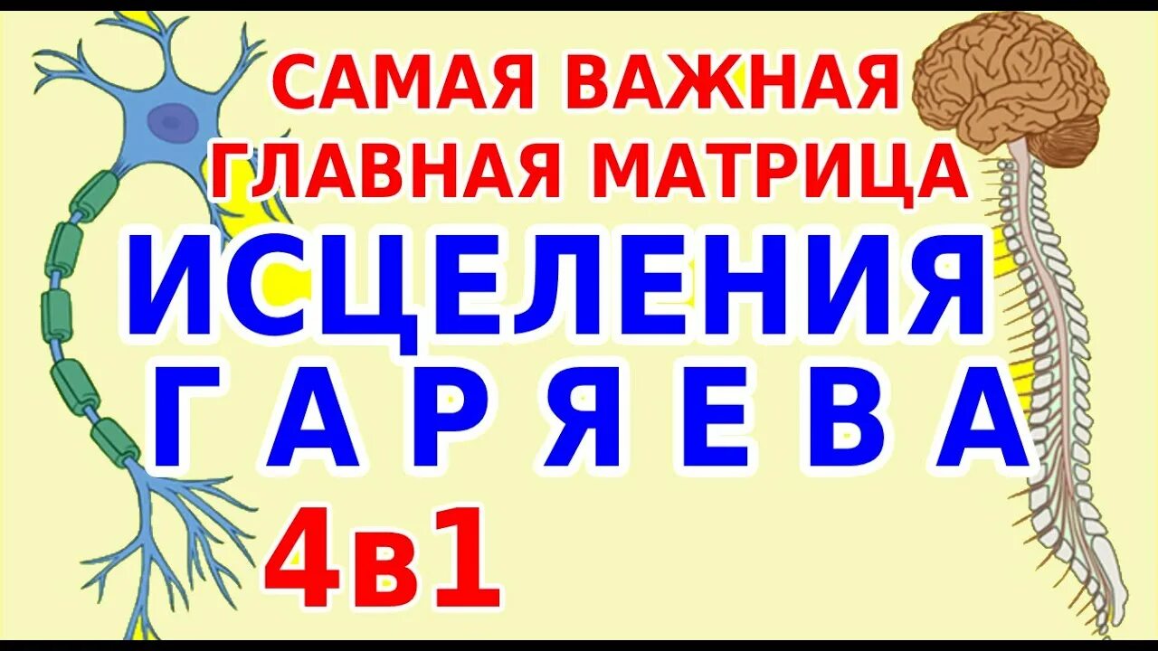 Матрица горяева для головного мозга. Матрица Петра Гаряева универсальная Исцеляющая. Матрица Гаряева. Исцеляющие матрицы. Исцеляющая матрица п п Гаряева.