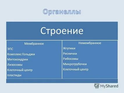 Лизосомы мембранные или