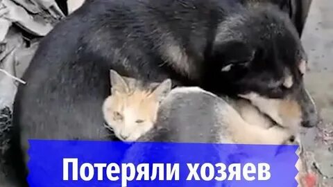 Дом потерявший хозяев