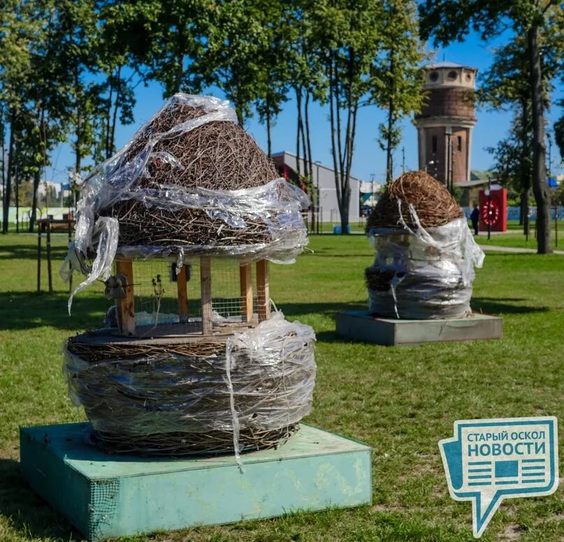 Старый оскол день города 2025 в сентябре. Жд парк старый оскол. старый оскол железнодорожный парк. цветущее приосколье старый оскол 2025. старый оскол новости.