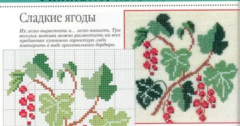 Схемы смородина