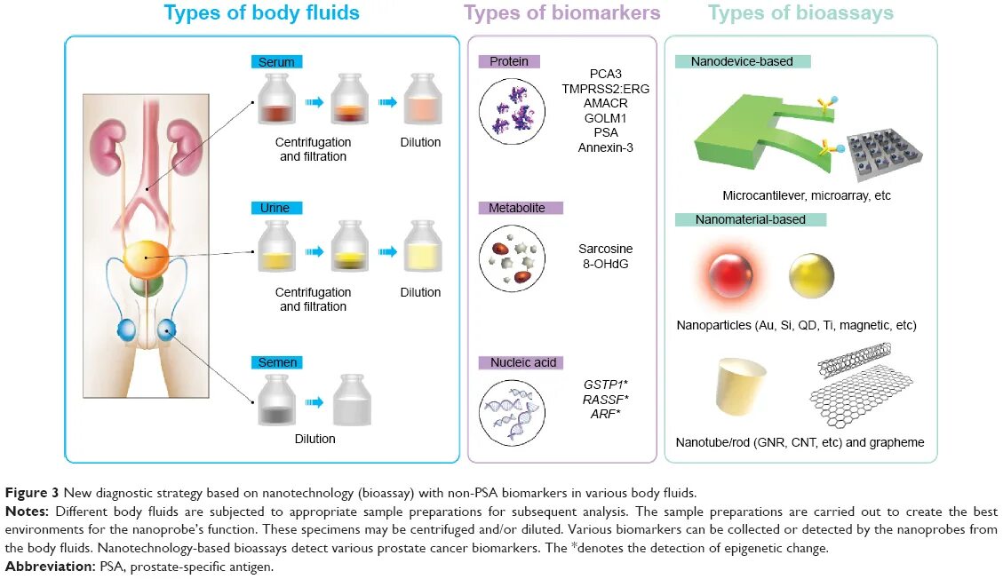 Биомаркеры это. Prostatic specific antigen. Prostate specific antigen Types. Биологические жидкости. Биомаркеры аппарат.