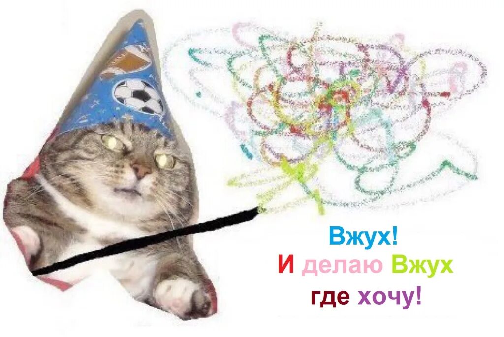 Кот вжух. Вжух оригинал. Мем кот с волшебной палочкой. Мемы с котами вжух. Звук перехода вжух