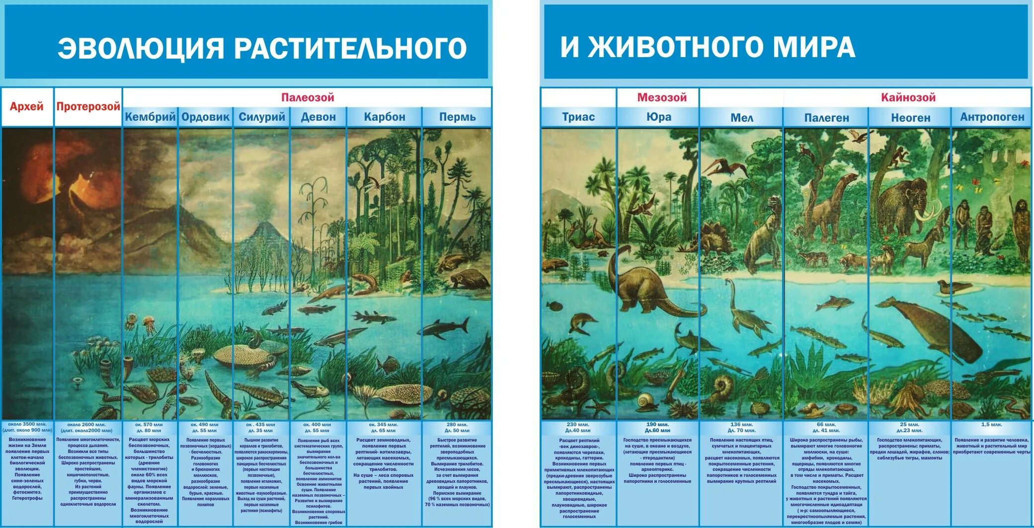 Основные этапы эволюции животных таблица. Биология 9 класс периоды и эры на земле. Хронологическая таблица эволюции растений.