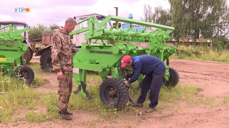 профессия тракторист-машинист сельскохозяйственного производства. трактор мтз 80 в поле. техника в колхозе. рассвет колхоз ооо. спк колхоз путь к коммунизму балезинского района.