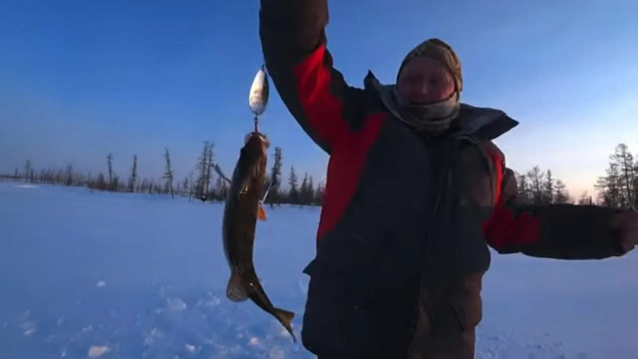 Клёвая рыбалка в Якутии 2021. Якутия клевая рыбалка 2020 зима. Клёвая рыбалка Якутия последнее. Зимняя рыбалка Якутия клевая рыбалка.