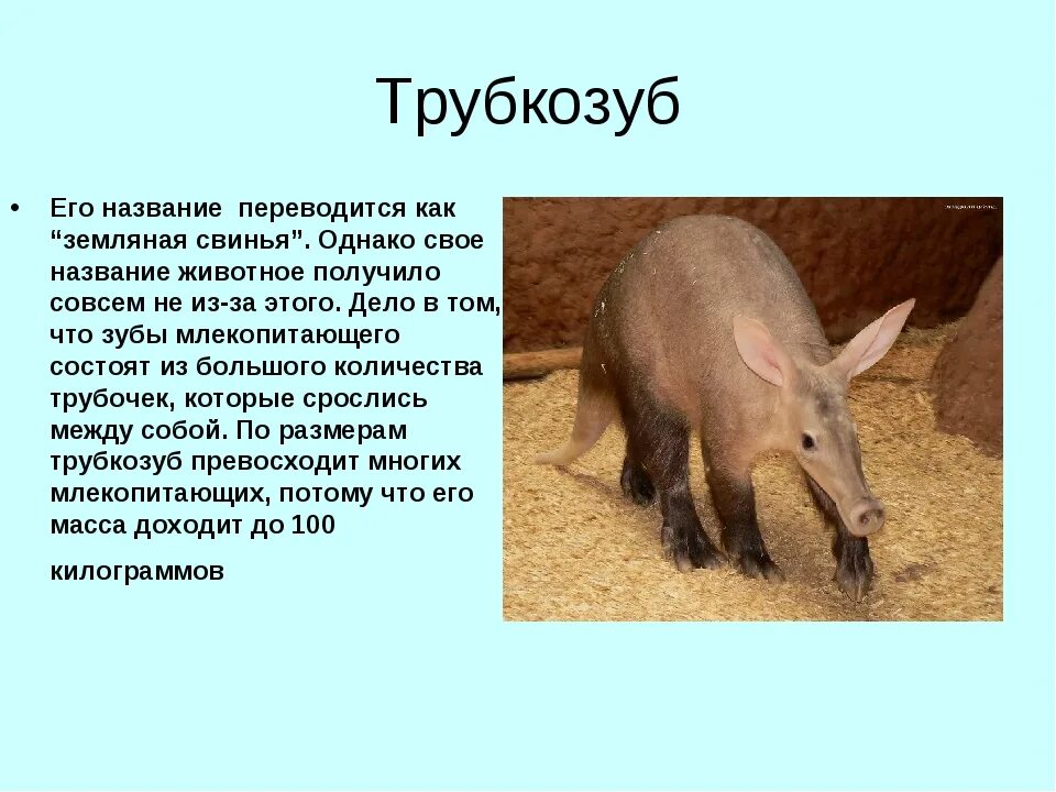 Карта хазарского каганата 10 век. Части россии. Где обитали и как назывались. Расселение восточных славян поляне. Где обитали и как назывались.