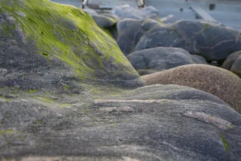 Moss rocks