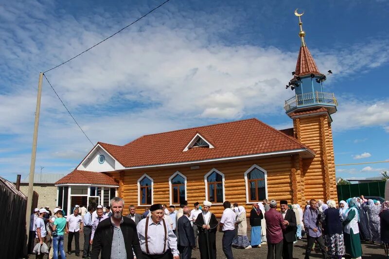 Мечети села средняя Елюзань. Соборная мечеть в селе средняя Елюзань. Самое большое татарское село средняя Елюзань. Мечеть в Елюзани Пензенской области.