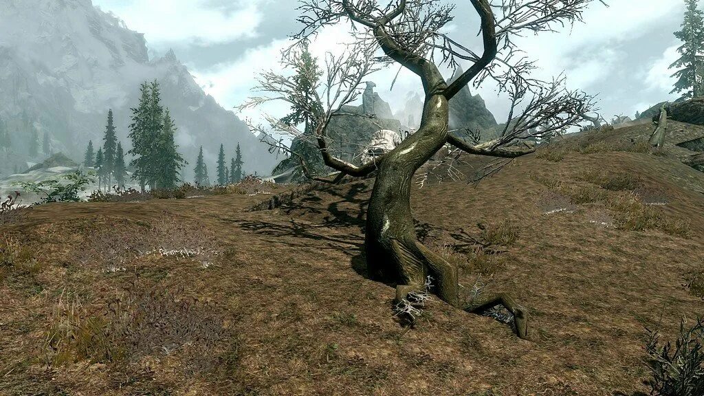 Ретекстур вулканической тундры. Скайрим Tundra. Лавовая тундра скайрим. Skyrim Thundra.