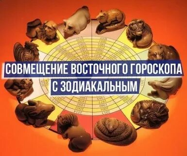 Можно гороскоп на завтра близнецы крыса
