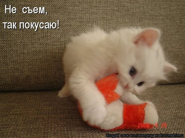 покусаю тебя картинки. придет волчок и укусит за бочок. знаю хочешь укусить давай с тобой потусим. знаю хочешь укусить давай с тобой потусим. укусит за бочок.