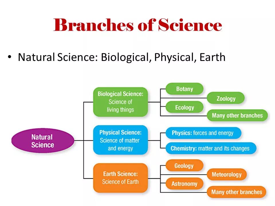 Types of Science. Kinds of Science. Branches of Science. List of Branches of Science.