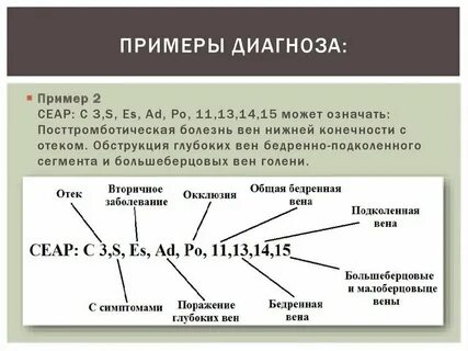 Сеар с1