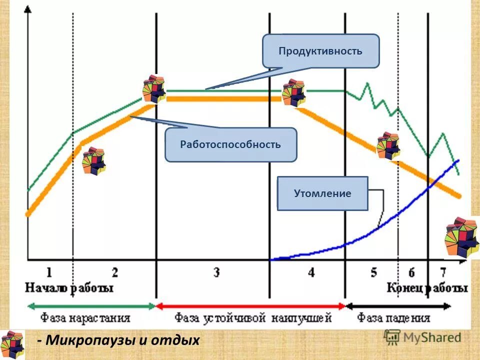 Стадии и этапы проектирования научного исследования. Продуктивность. Фазы процесса. Фазы срывного процесса. Стадии и этапы проектирования.
