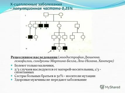 Гемофилия доминантный или рецессивный