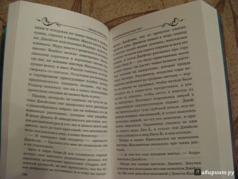 Читать неожиданный наследник 3. Книга волшебное наследство. Крестоманси.