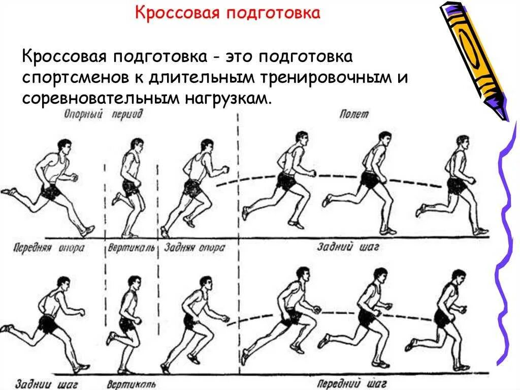 Бег 1 км техника выполнения. Кроссовый бег реферат кратко. Фазы бега схема. Легкая атлетика кроссовая подготовка. Изучение техники бега.