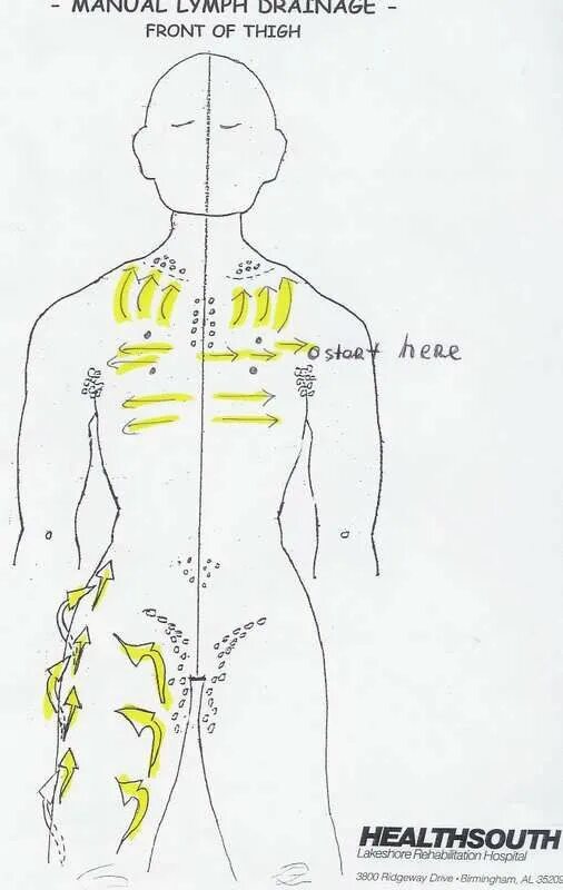 Лимфатическая система человека массаж схема движения. Лимфатический массаж тела схема. Лимфатическая система массажные линии тела. Массажные линии тела схема лимфа. Лимфоузел после массажа