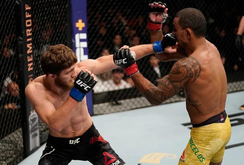 Абубакар нурмагомедов ufc. Нурмагомедов проиграет. Нурмагомедов проиграет. Нурмагомедов проиграет. Абубакар нурмагомедов ufc.