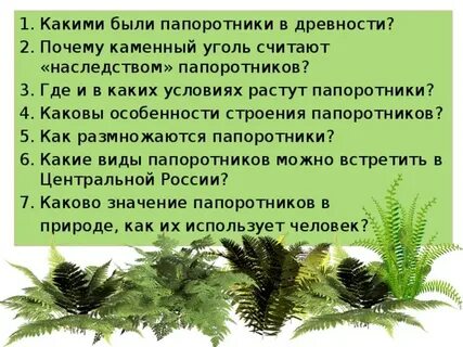 Продолжительность жизни папоротников