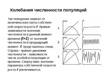 Периодическая колебания численности