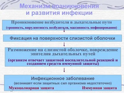 Возбудители дыхательных путей