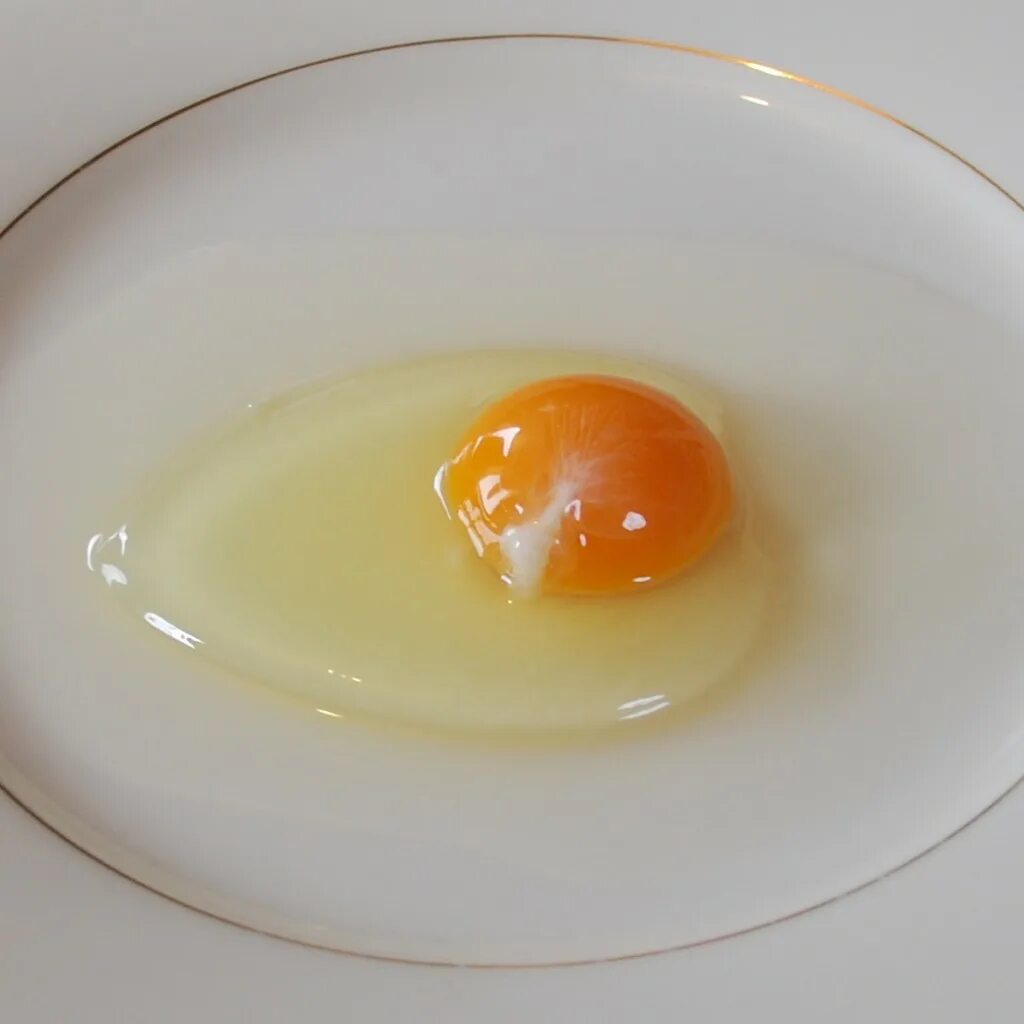 Что будет если съесть сырое яйцо. Сырое яйцо. Сальмонелла в курином яйце. Желток яйца.