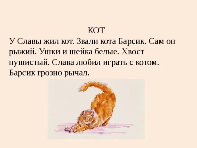 У любы кот васька. Пушистый хвост. Диктант про кота. У славы жил кот звали кота Барсик. Текст про кота 1 класс.