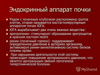Юга почек