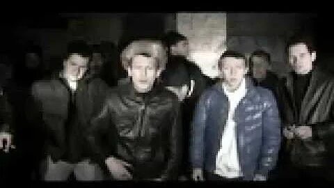 Сява птицы белые