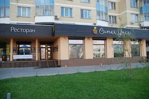 Сытая утка