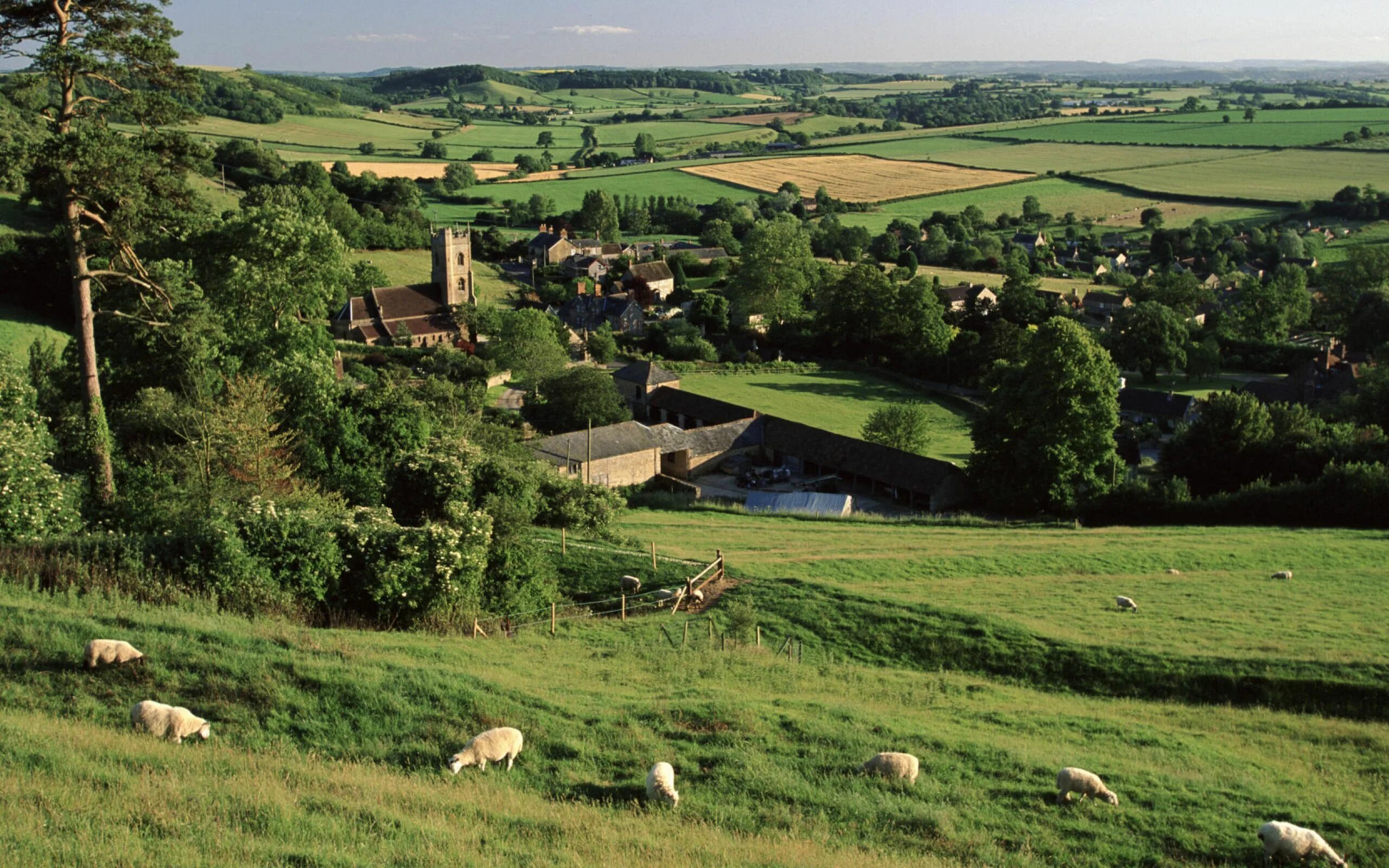 Сельские селитебные ландшафты. Англия Сомерсет природа. Рурал Ингланд rural England. Равнинная Сельская местность в Британии.