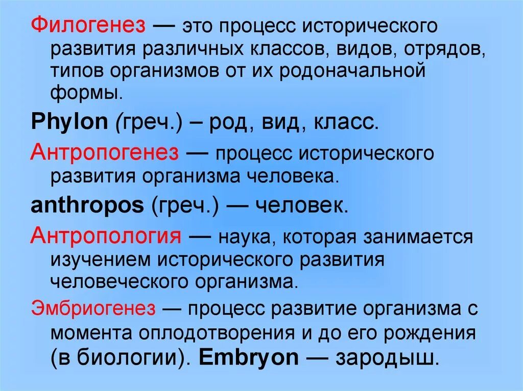 Филогенез организмов. Филогенез. Филогенез это в биологии. Понятие филогенез. Филогенезис в биологии.