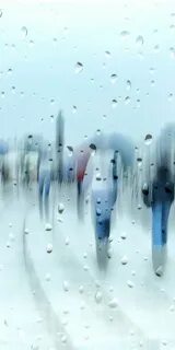 Капель г