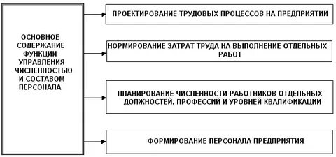 Организация трудового процесса менеджмент