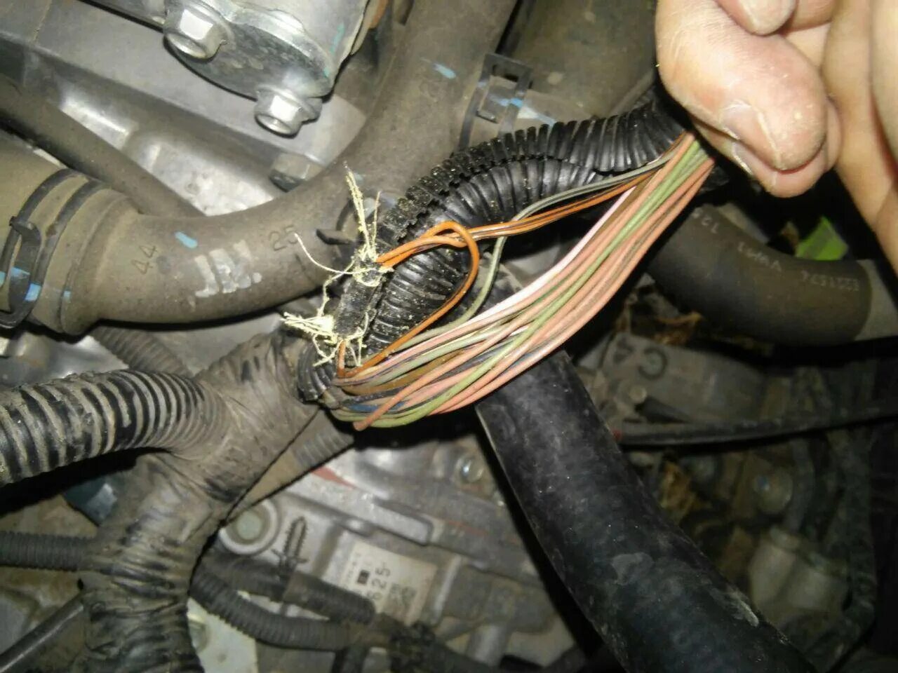 3. Холостой ход шевроле лачетти 1. 4. Регулятор холостого хода ваз 2131 инжектор. Датчик холостого хода на шевроле ланос мотор 1 и 5 2007 год.