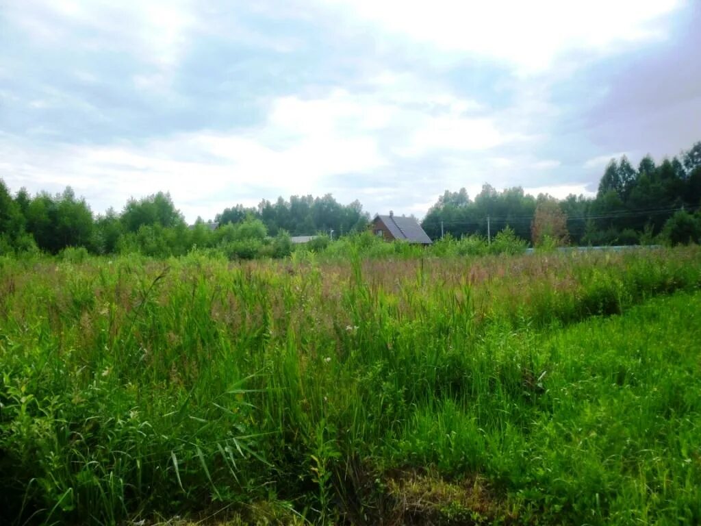 Погода воргаш талдомский