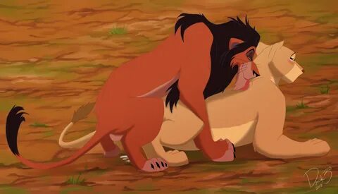 Lion Sex Gif.