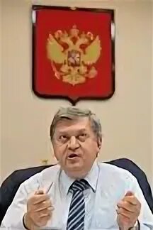 Суринов биография. Суринов биография. Суринов животное. Суринов биография. Суринов росстат.