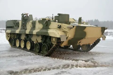 Хризантема птрк