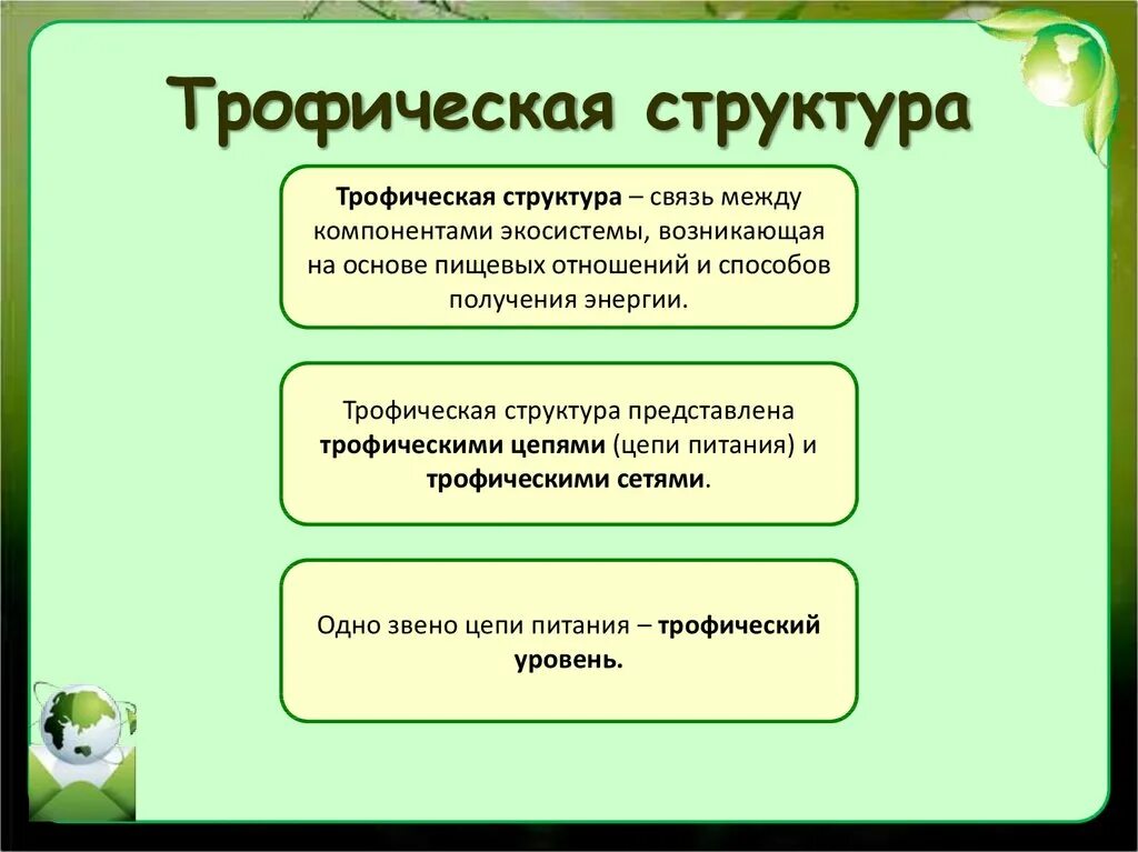 Структура растительного сообщества кратко биология 7 класс. Трофическая структура сообщества. Трофическая структура экосистемы. Тропическая структура сообщества. Трофическая структура биоценоза.