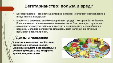 Польза без мяса