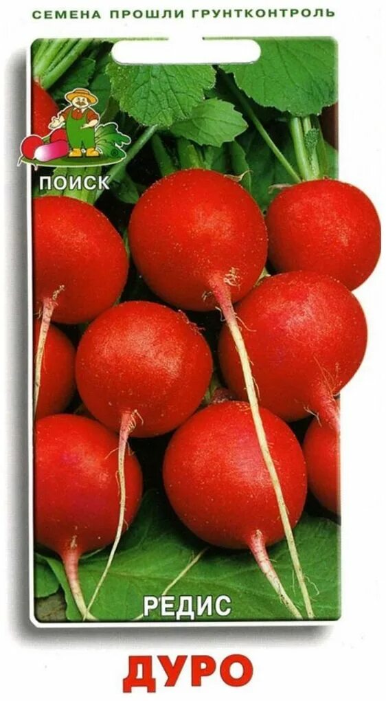 Редис дуро краснодарское. Редис сорт дуро. редиска дуро краснодарское. редиска дуро семена. краснодарская дуро семена редиска.