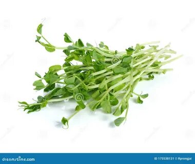 Pea shoot